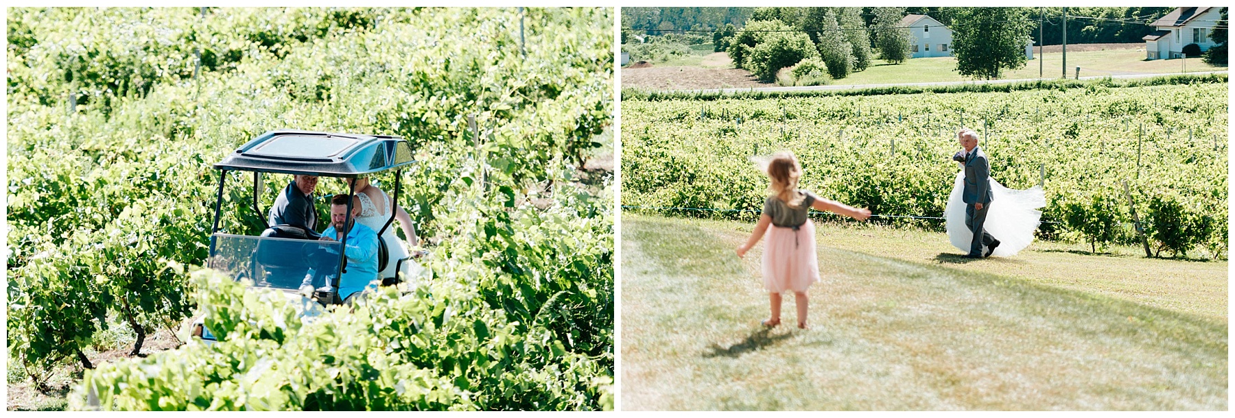 La mariée avance entre les vignes du vignoble avec son père à ses côtés.