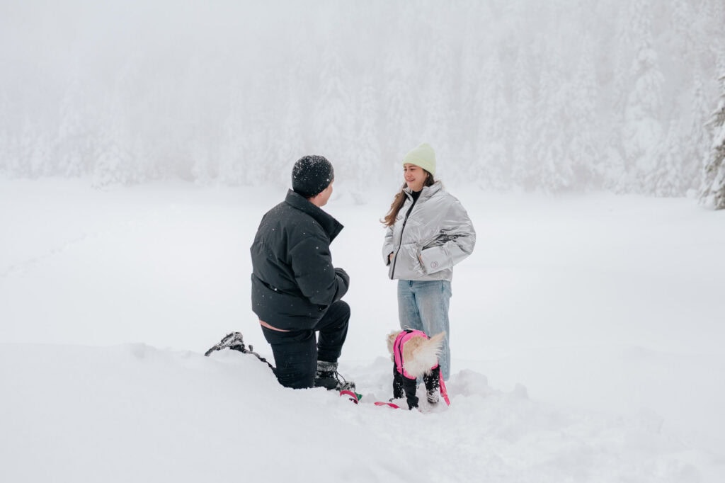 Man proposing on one knee on the frozen Lac Spruce in Sutton, Eastern Townships, with their dog in the snow — winter proposal photography near Montréal