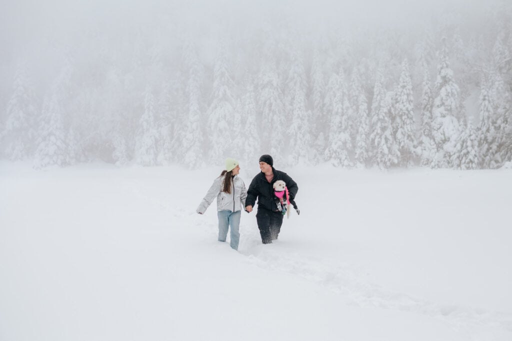 Engaged couple walking hand in hand across the frozen Lac Spruce in Sutton with their dog, Eastern Townships winter proposal photography